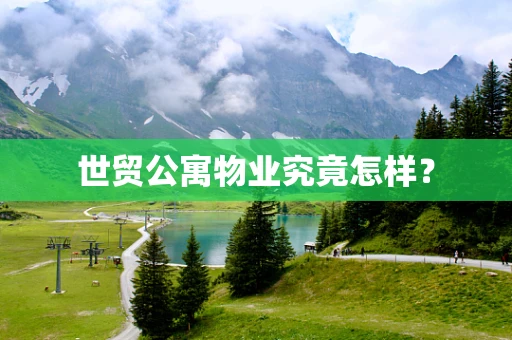 世贸公寓物业究竟怎样？