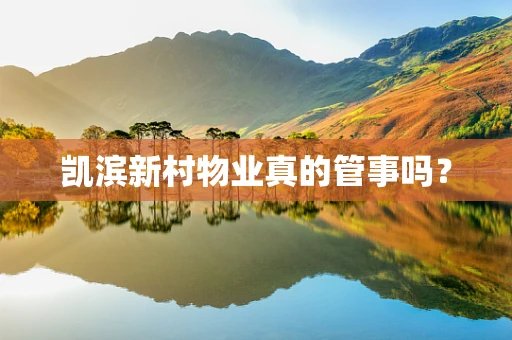 凯滨新村物业真的管事吗？