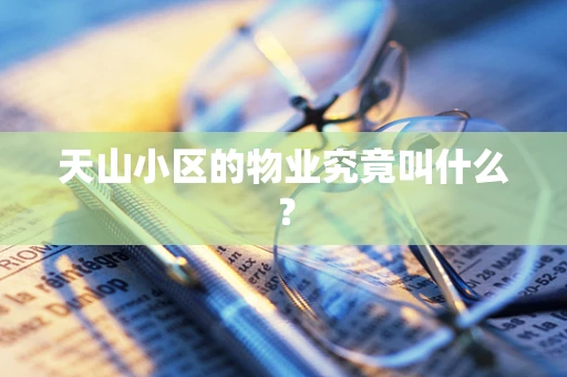 天山小区的物业究竟叫什么？
