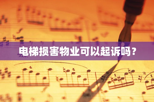 电梯损害物业可以起诉吗？