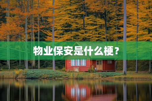 物业保安是什么梗？