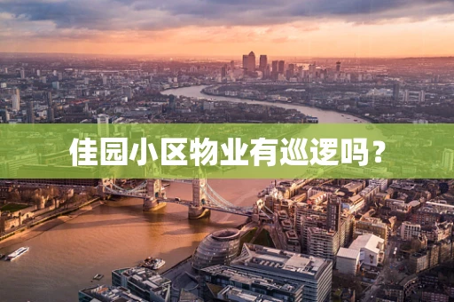 佳园小区物业有巡逻吗？
