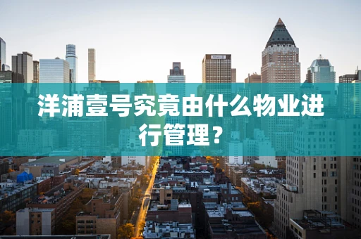 洋浦壹号究竟由什么物业进行管理？