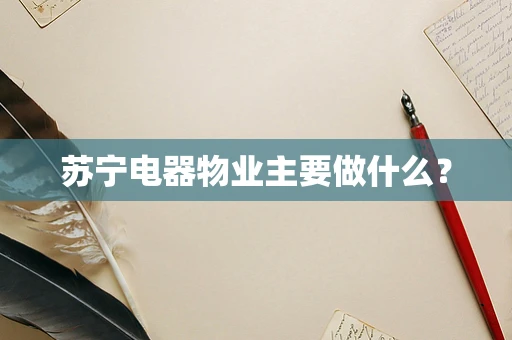 苏宁电器物业主要做什么？