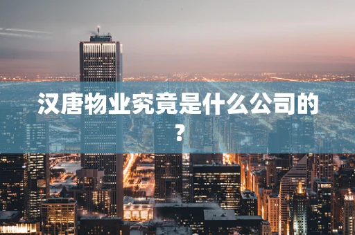 汉唐物业究竟是什么公司的？