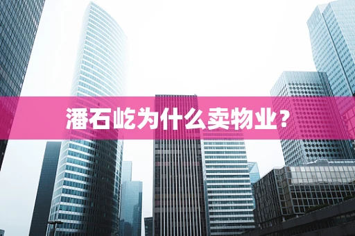 潘石屹为什么卖物业？