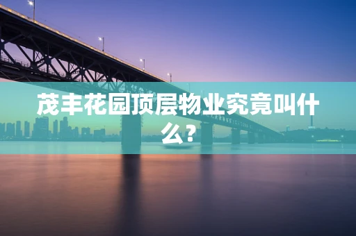 茂丰花园顶层物业究竟叫什么？