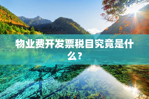 物业费开发票税目究竟是什么？