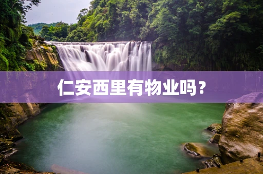 仁安西里有物业吗？