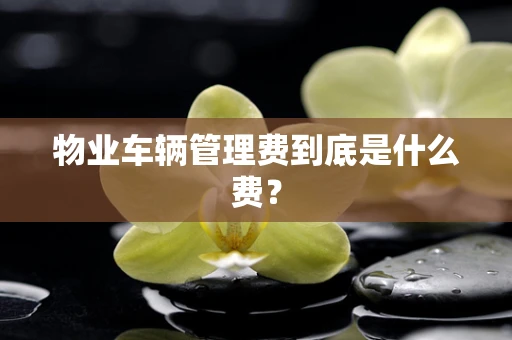 物业车辆管理费到底是什么费？