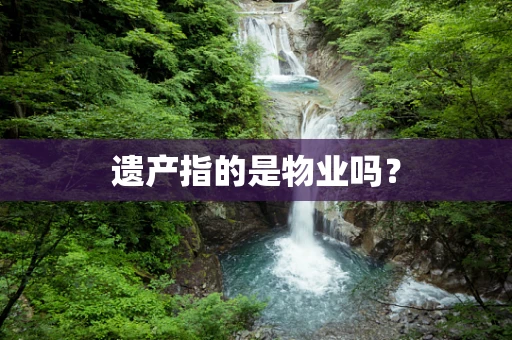 遗产指的是物业吗？