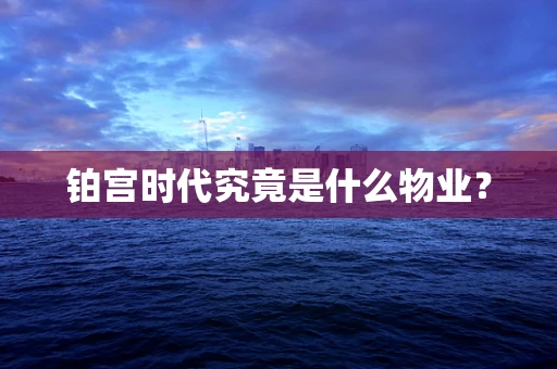 铂宫时代究竟是什么物业？