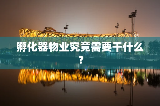 孵化器物业究竟需要干什么？