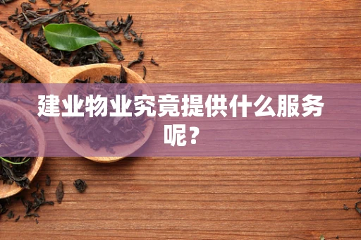 建业物业究竟提供什么服务呢？