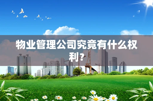 物业管理公司究竟有什么权利？