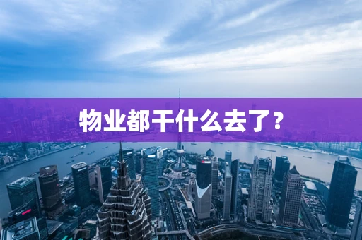 物业都干什么去了？