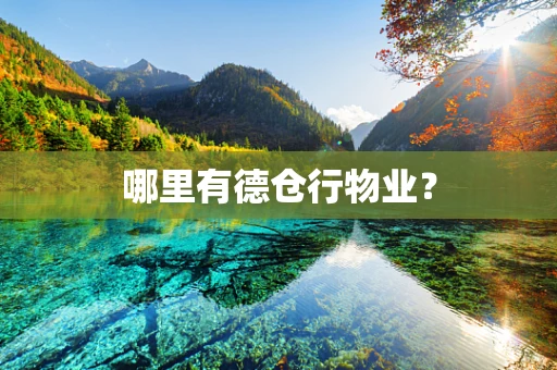 哪里有德仓行物业？