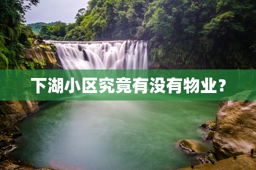 下湖小区究竟有没有物业？