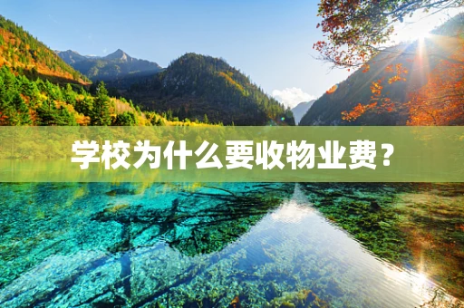 学校为什么要收物业费？