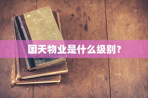 国天物业是什么级别？