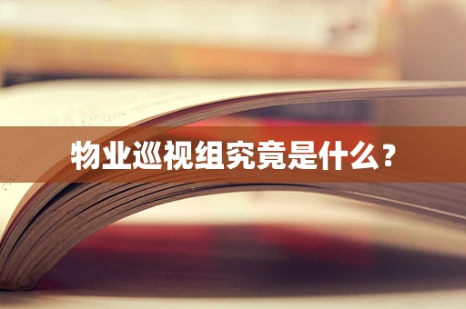 物业巡视组究竟是什么？