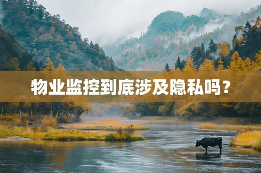 物业监控到底涉及隐私吗？