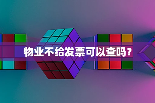 物业不给发票可以查吗？