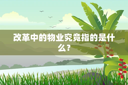 改革中的物业究竟指的是什么？