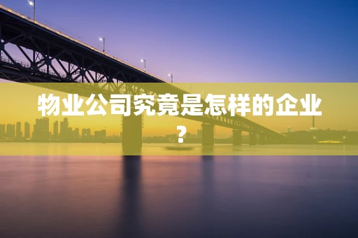 物业公司究竟是怎样的企业？