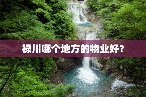 禄川哪个地方的物业好？