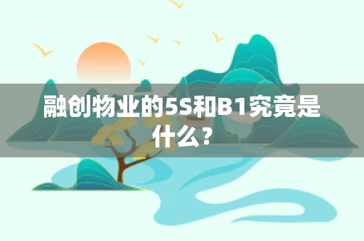 融创物业的5S和B1究竟是什么？