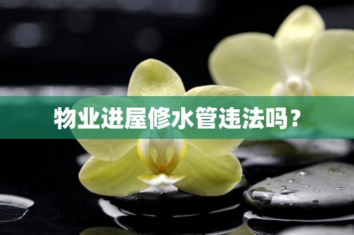 物业进屋修水管违法吗？