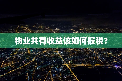 物业共有收益该如何报税？