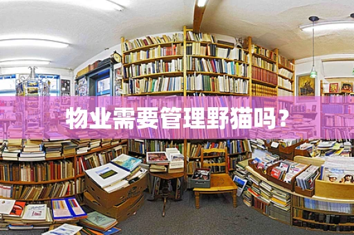 物业需要管理野猫吗？