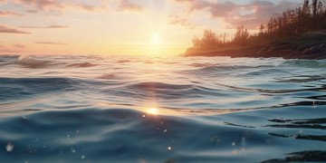 鲅鱼圈兴泰小区有物业费吗?