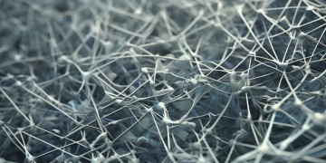 对物业独立审计难吗？