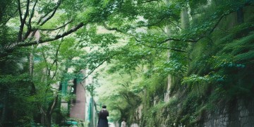 衢州德信君宸是什么物业?