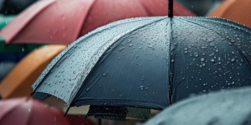 物业的雨伞究竟属于什么类目？