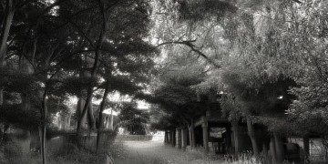 合肥物业究竟归什么部门管理?