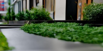 物业管理有哪些职业呢？