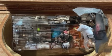 物业管理费为什么要交税呢？