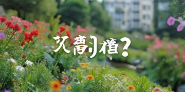 仁寿物业好不好？最近招工吗？