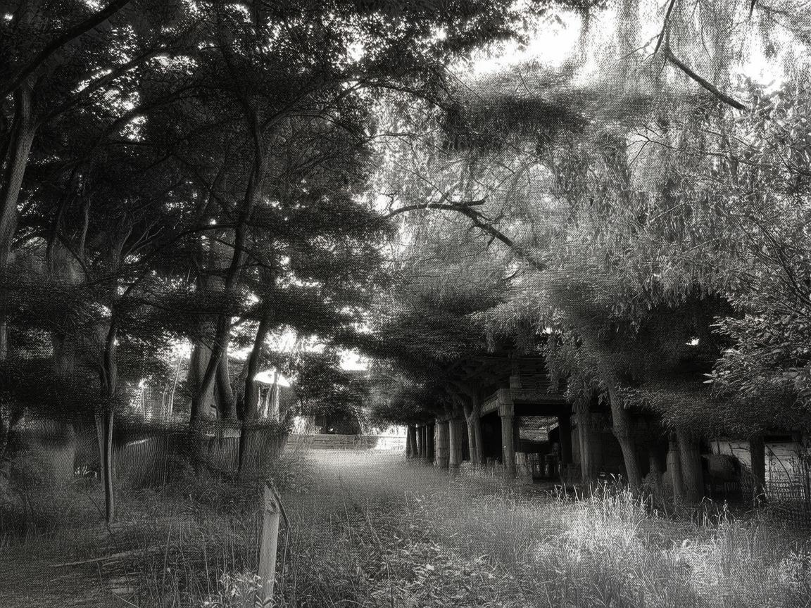 合肥物业究竟归什么部门管理? 合肥物业究竟归什么部门管理?